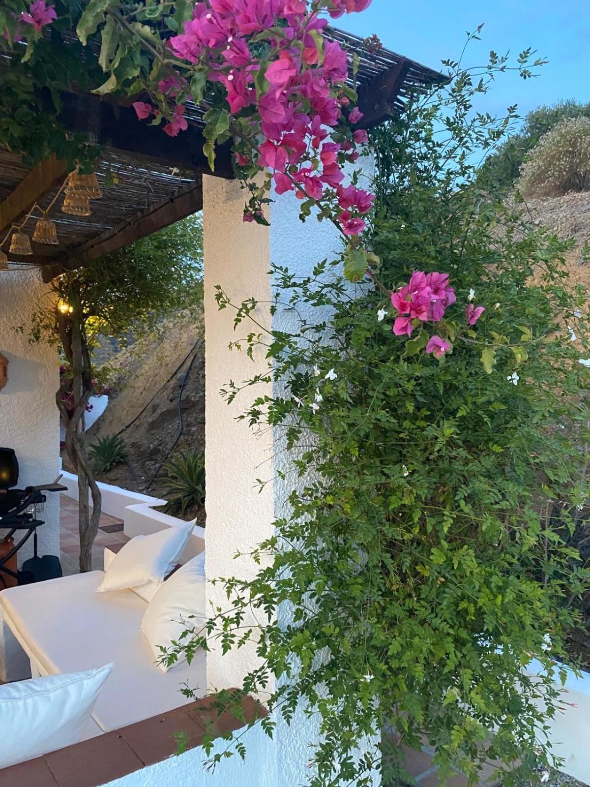 Finca Angelita Торокс Екстериор снимка