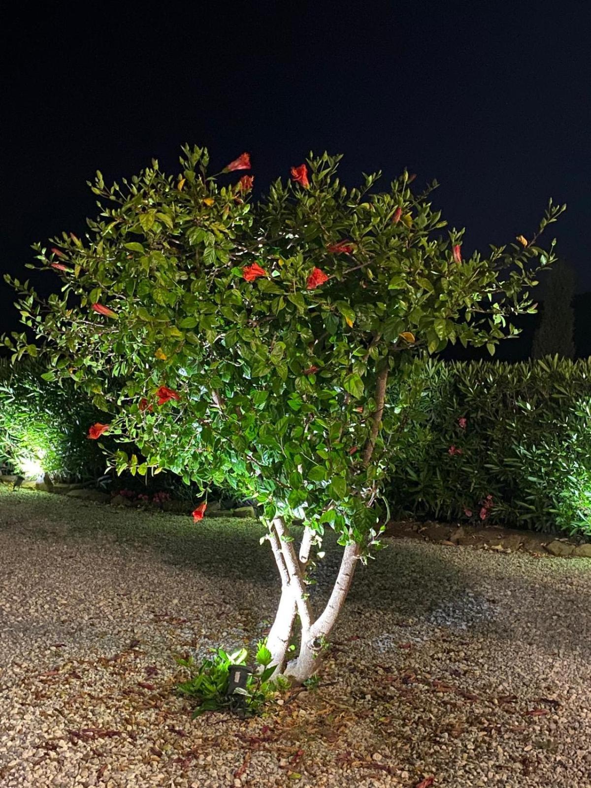 Finca Angelita Торокс Екстериор снимка
