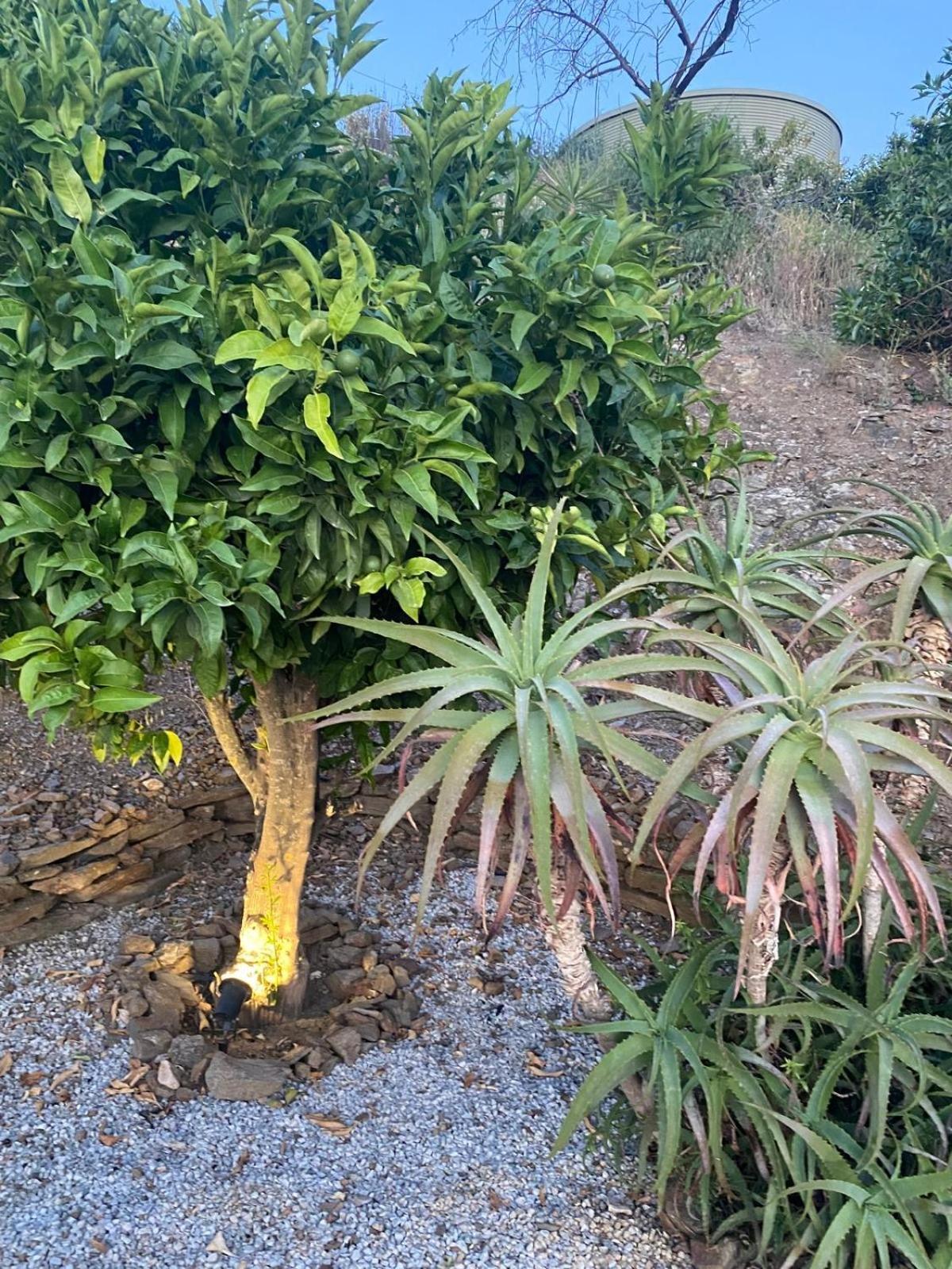 Finca Angelita Торокс Екстериор снимка