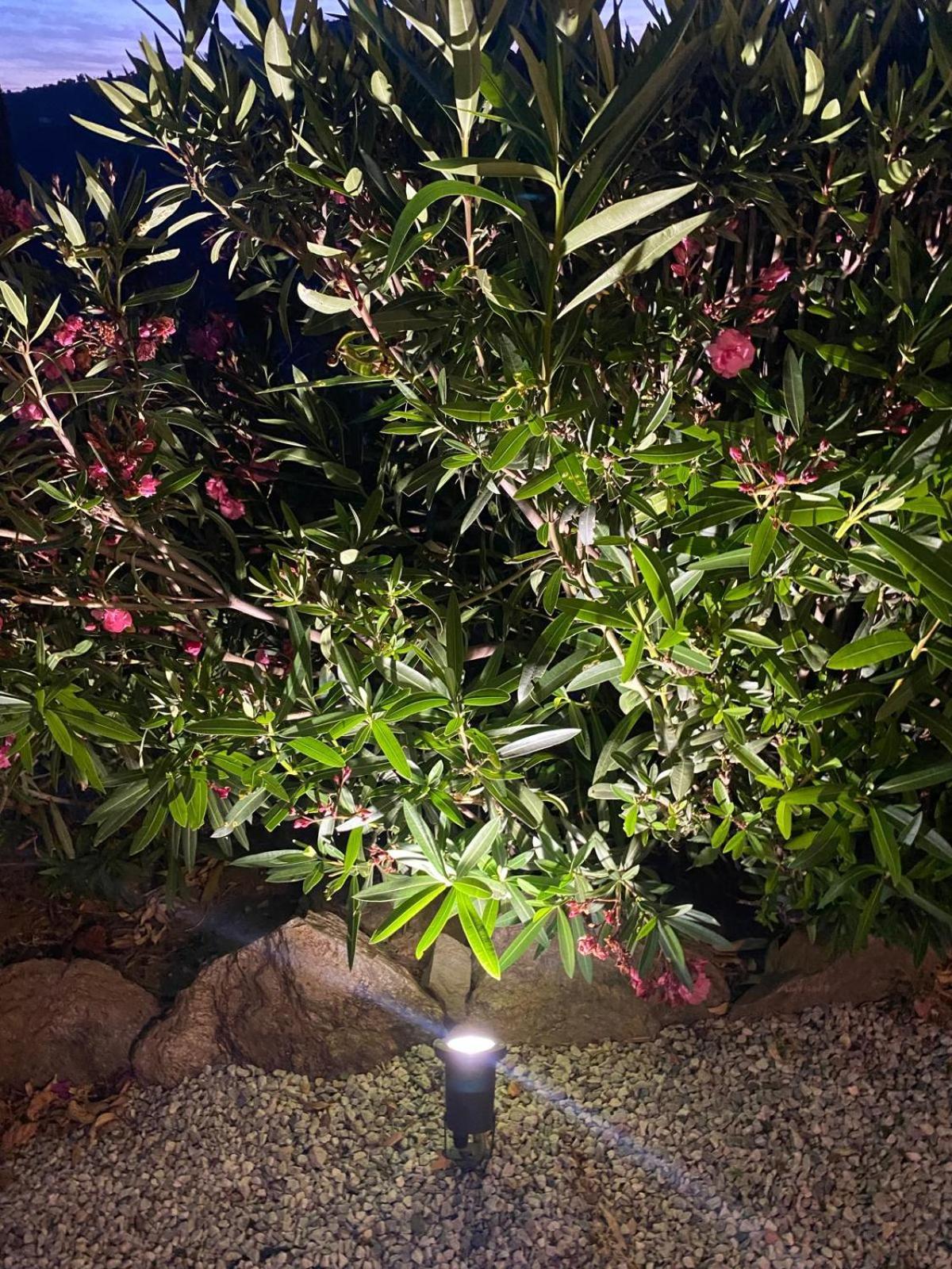 Finca Angelita Торокс Екстериор снимка